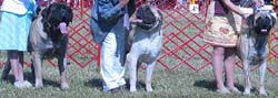 odkc_fall05_0062
