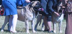 odkc_fall05_0068