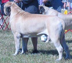 odkc_fall05_0081