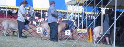 odkc_fall05_0083