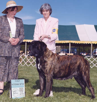 Pasha winning Veteran Bitch at Bucks in 2001.