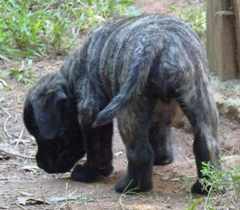 P1100483