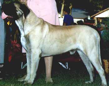 Remo winning a group one