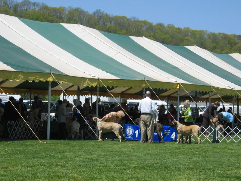 2007bucks0099