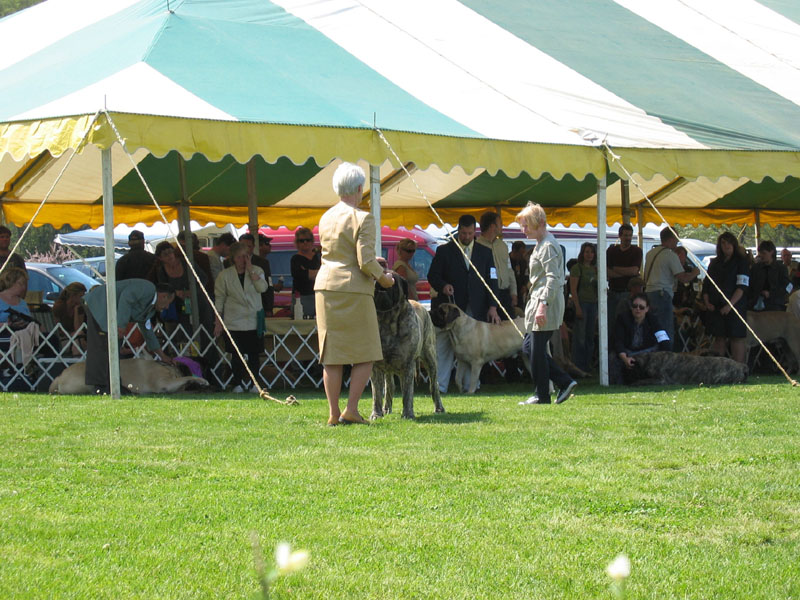2007bucks0142