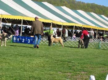 2007bucks0008