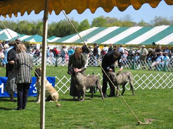 2007bucks0056
