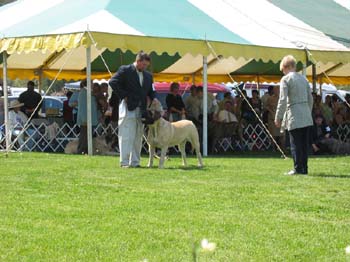 2007bucks0146
