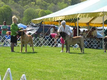 2007bucks0167