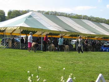 2007bucks0223