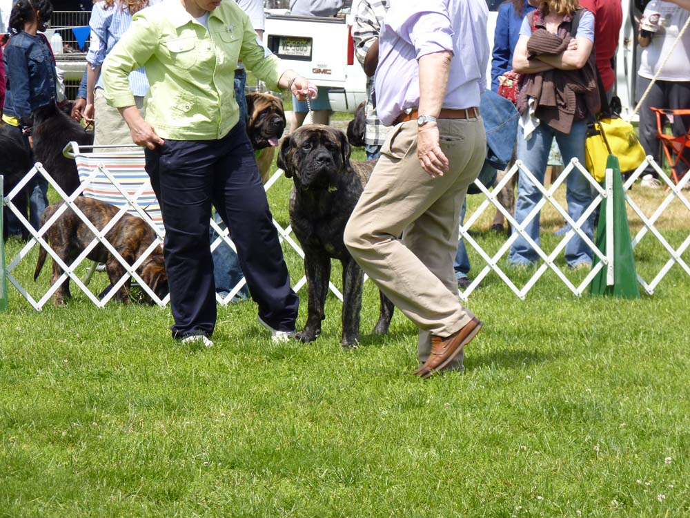 P1000416