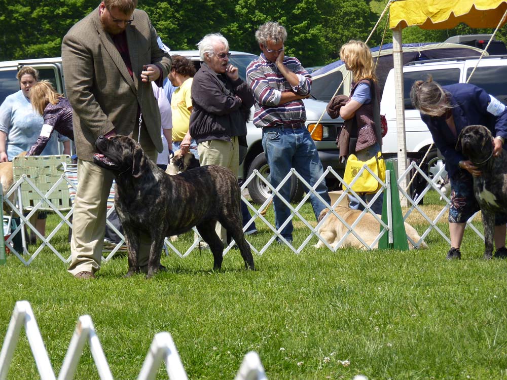 P1000501