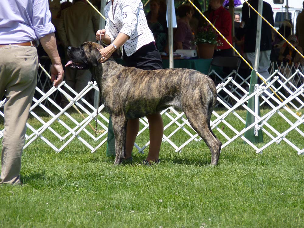 P1000518