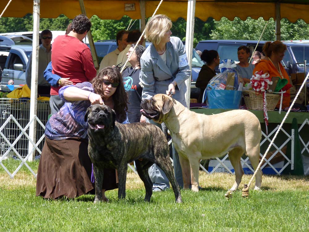 P1000533
