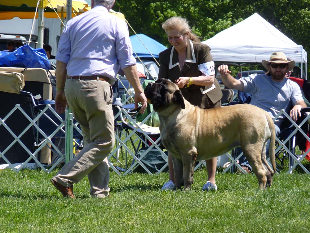 P1000544