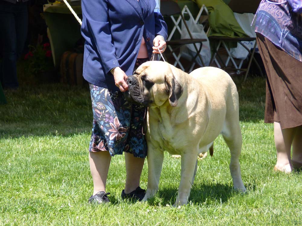 P1000567