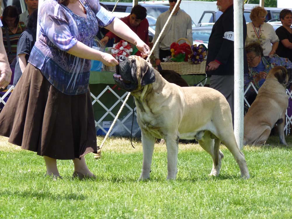 P1000657