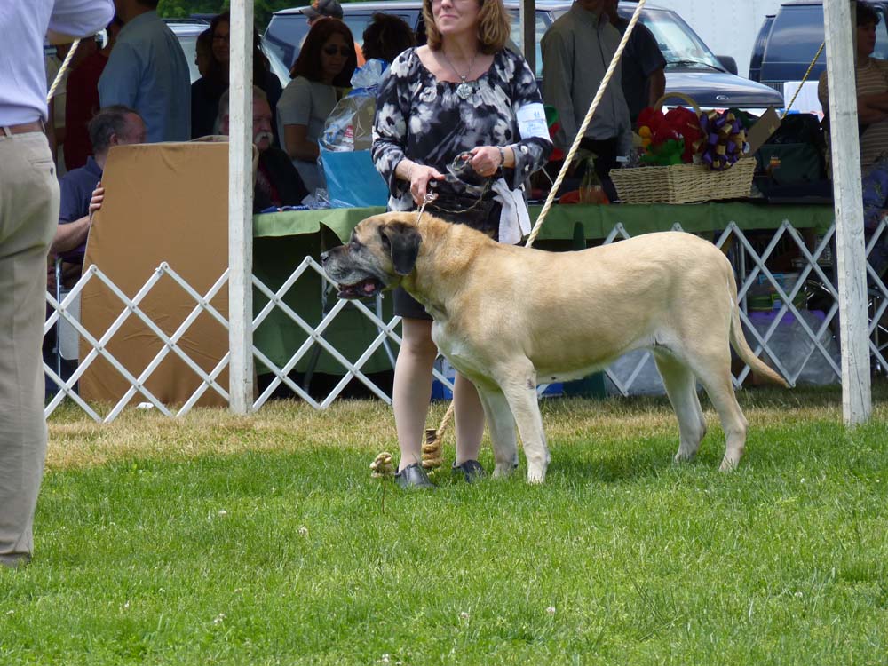 P1000665