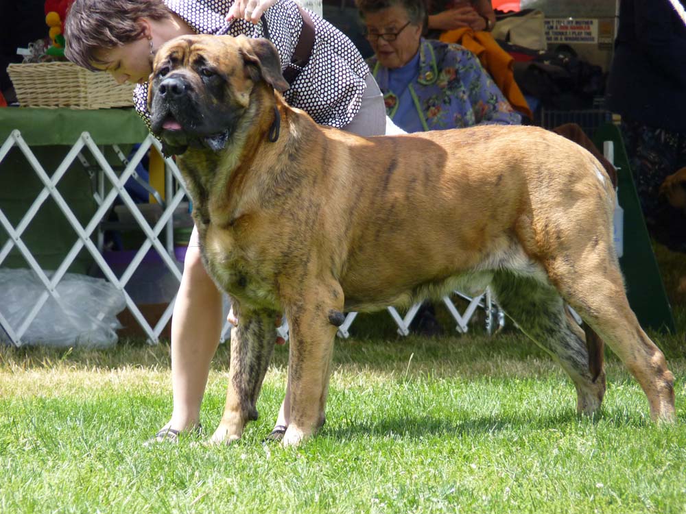 P1000682