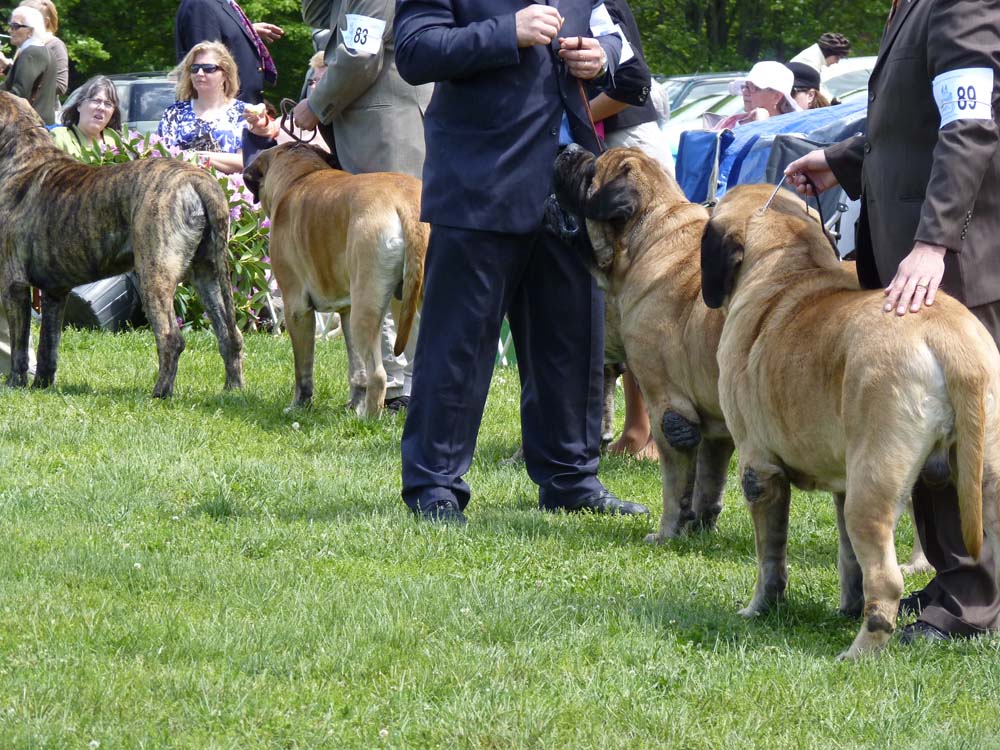 P1000691