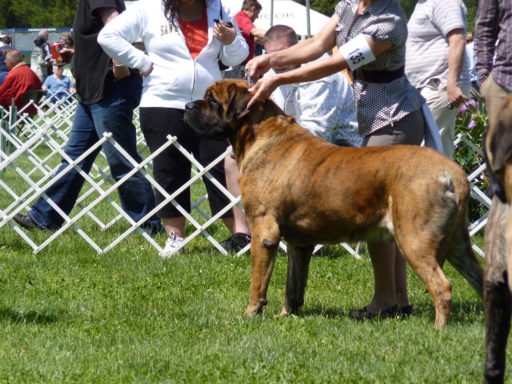 P1000739