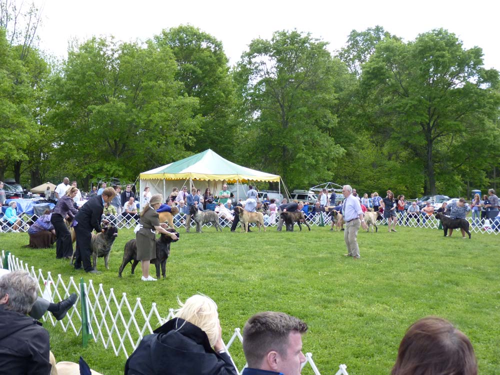 P1000813