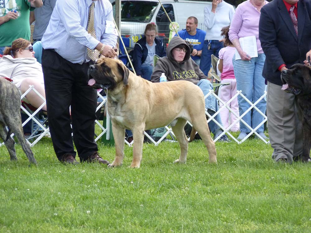 P1000818