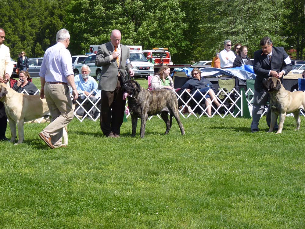 P1000830