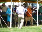 P1000410