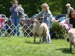 P1000552