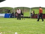 IMG_0027