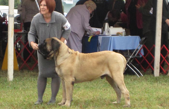 003_dogbbe
