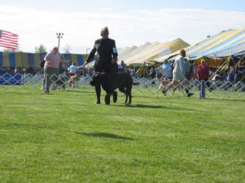 2007trenton0045