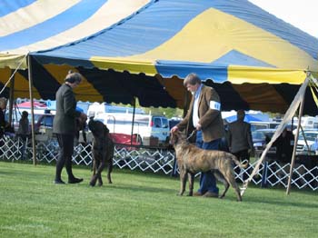 2007trenton0051